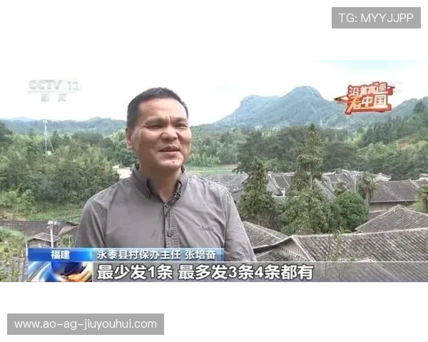 探究山南男人踢足球水平如何及其背后文化与地域特色主要影响因素